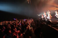 「妄想キャリブレーション LAST TOUR 2018/19 ～HOME～」の様子。撮影：チェリーマン）