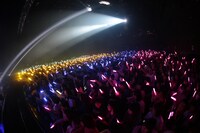 観客が点灯させたメンバーカラーのサイリウムが輝くフロア。（撮影：チェリーマン）