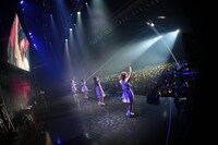 「妄想キャリブレーション LAST TOUR 2018/19 ～HOME～」の様子。撮影：チェリーマン）