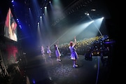 「妄想キャリブレーション LAST TOUR 2018/19 ~HOME~」の様子。撮影:チェリーマン)