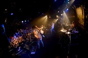 「PUNK ROCK THROUGH THE NIGHT TOUR」東京公演の様子。（撮影：半田安政［showcase］）