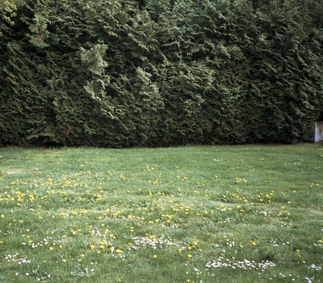 ミツメ「Ghosts」ジャケット