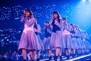 「日向坂46 デビューカウントダウンライブ!!」の様子。(撮影:上山陽介)