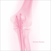 しゃしくえ「Darkness」ジャケット