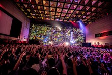 「夜の本気ダンス presents O-KAGE-DOSS ～きゃっち・ざ・京都～」の様子。（撮影：キムラユキ）