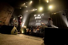 「夜の本気ダンス presents O-KAGE-DOSS ～きゃっち・ざ・京都～」の様子。（撮影：キムラユキ）