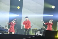 「恋」を歌う星野源。（撮影：岸田哲平）