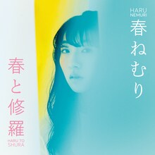 春ねむり「春と修羅」アナログ盤ジャケット