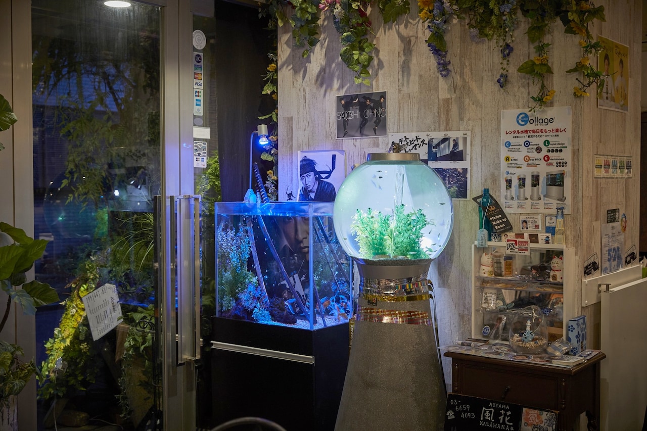右手前の球体の水槽は、ドラマの小道具と同型のもの。