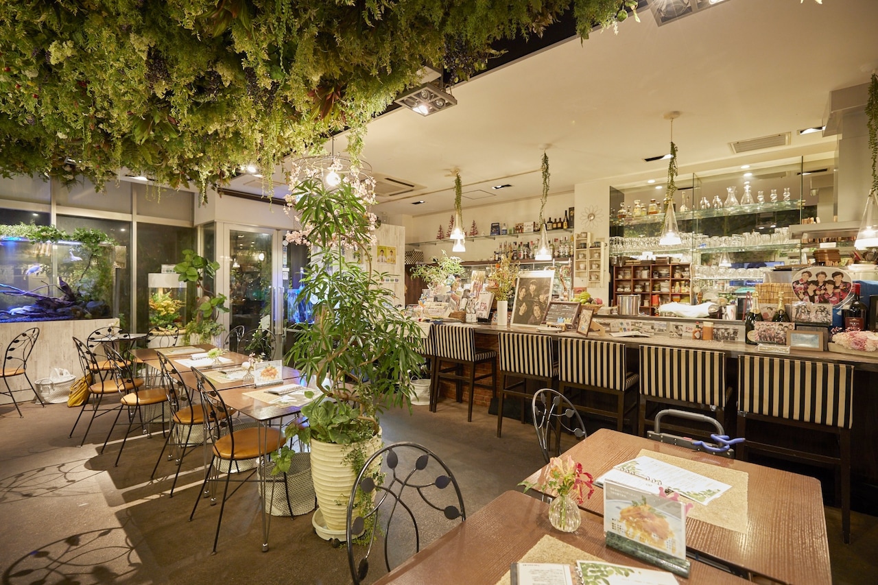 水槽と植物を一面に配置し癒しの空間を演出する店内。