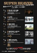 SUPER BEAVER「都会のラクダ “ホール＆ライブハウス” TOUR 2019～立ちと座りと、ラクダ放題～」告知画像