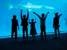 テレ朝チャンネル2「沖縄初上陸の純烈が釣って！歌って！喰いまくる！純烈のOKINAWAガイドブック」より。（写真提供：テレビ朝日）