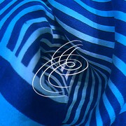 Buffalo Daughter「Elephante Marinos（2019 Ver.）[feat. SASUKE]」配信ジャケット