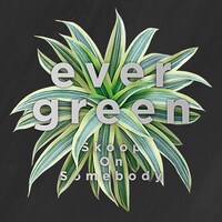 Skoop On Somebody「evergreen」配信ジャケット