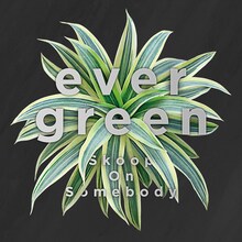 Skoop On Somebody「evergreen」ジャケット