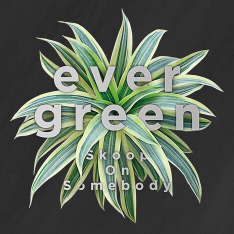 Skoop On Somebody「evergreen」ジャケット