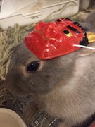 赤鬼のお面を付けたもぐさん。