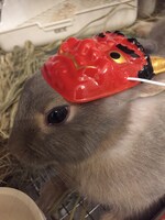 赤鬼のお面を付けたもぐさん。