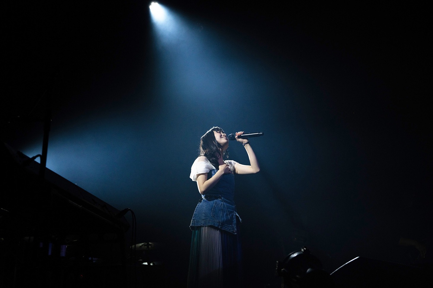 有安杏果 (c)Apricot Inc