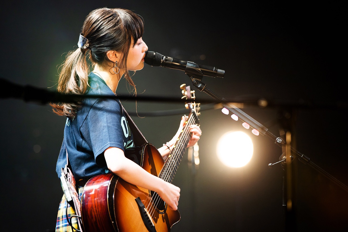有安杏果 (c)Apricot Inc