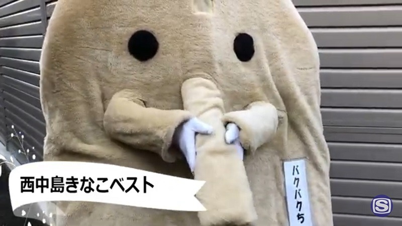 西中島きなこ「西中島きなこベスト」トレイラー動画のワンシーン。
