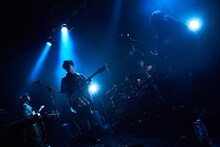 The fin.（Photo by Yoshiaki Miura）