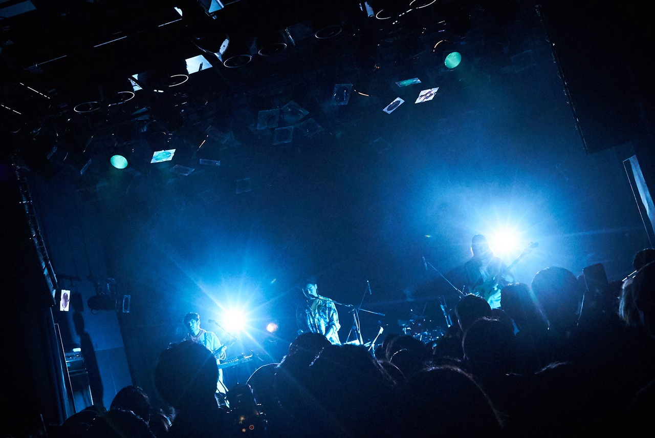 The fin.（Photo by Yoshiaki Miura）