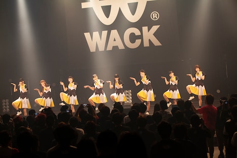 WAgg(Photoy by kenta sotobayashi)