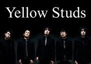 Yellow Studs