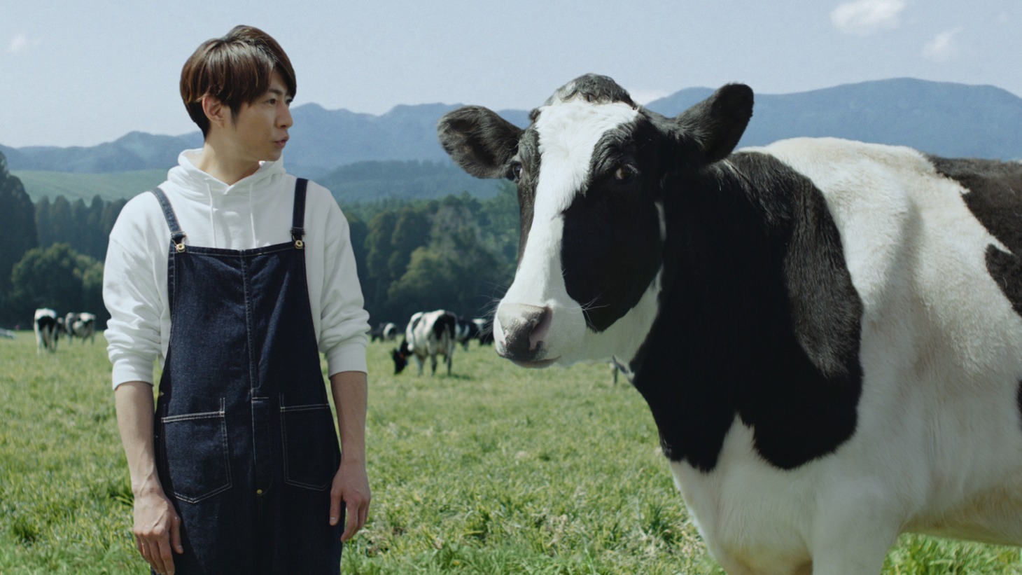 「明治おいしい低脂肪乳」新テレビCM「牛と相葉さん」より。