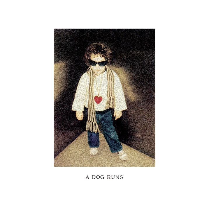 内田裕也「ア・ドッグ・ランズ」ジャケット（提供：Tower To The People）