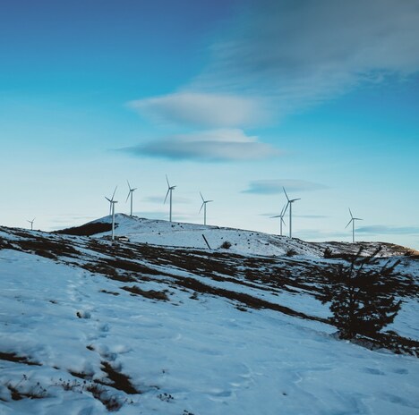 V.A.「GenaratioNxxx」配信ジャケット