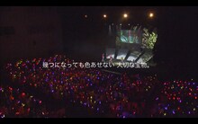 「ももいろクローバーZ ジャパンツアー『青春』」東京・中野サンプラザホール公演ライブ映像のトレーラーのワンシーン。