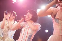 色とわ（撮影：関上貴也）