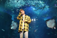 大野雄大（Da-iCE）