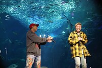 川畑要（左 / CHEMISTRY）から拍手を送られ、照れ笑いする大野雄大（右 / Da-iCE）。