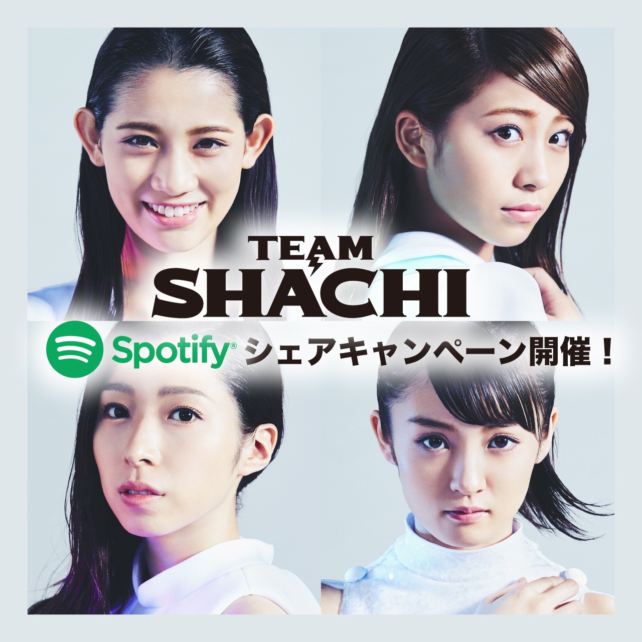 TEAM SHACHI×Spotifyシェアキャンペーンの告知ビジュアル。