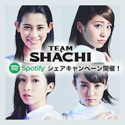 TEAM SHACHI×Spotifyシェアキャンペーンの告知ビジュアル。