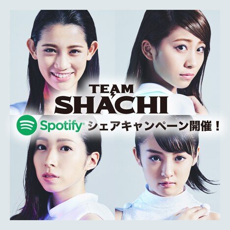 TEAM SHACHI×Spotifyシェアキャンペーンの告知ビジュアル。