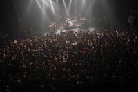 THE NOVEMBERS「ANGELS ONEMAN TOUR 2019」東京・マイナビBLITZ赤坂公演の様子。（撮影：宮下太輔）