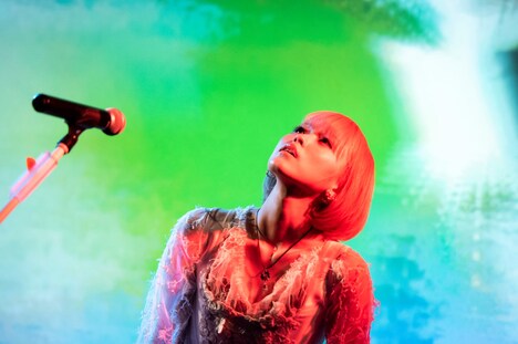 ロイ-RoE-(撮影:釘野孝宏)