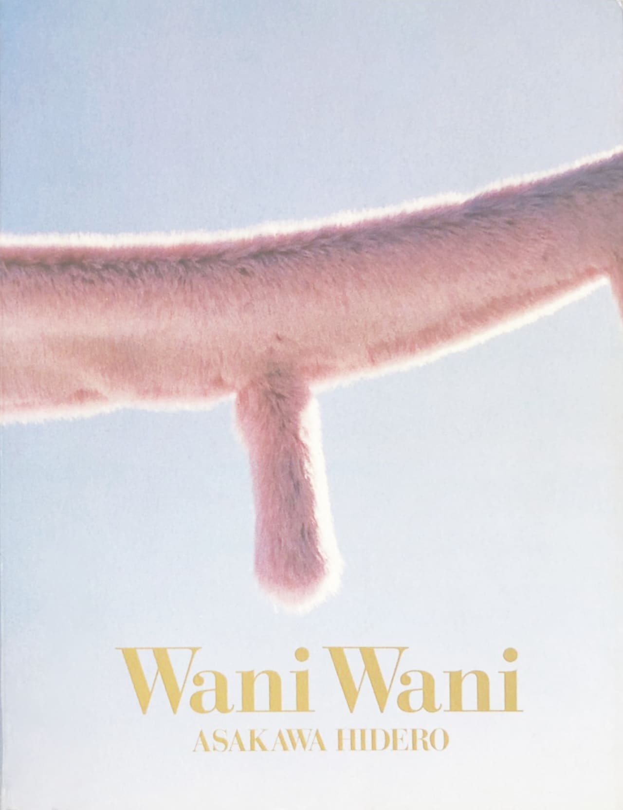 アートブック「Wani Wani」表紙（写真提供：浅川英郎）