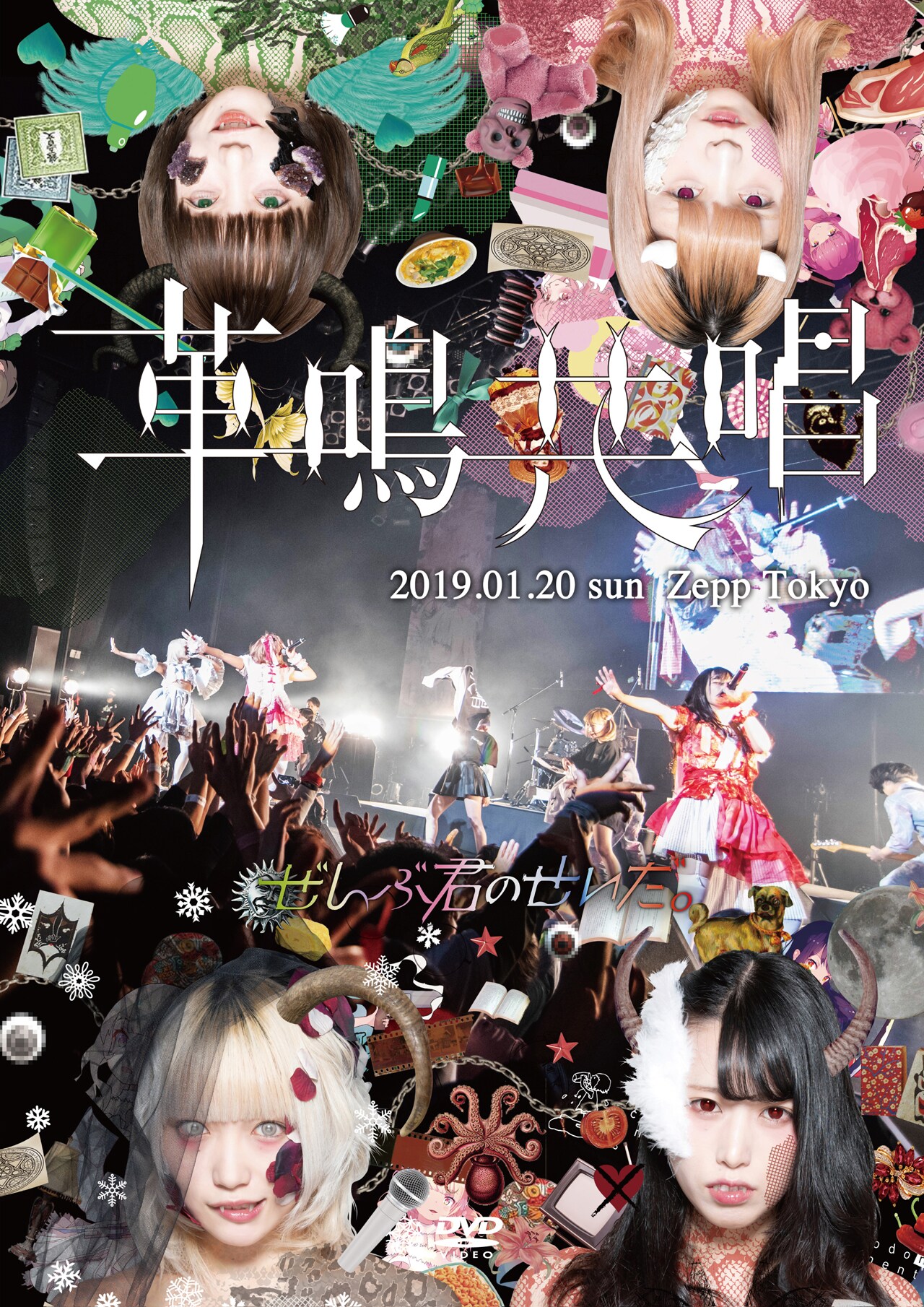 ぜんぶ君のせいだ。Zepp Tokyoワンマン全曲収録のDVDリリース