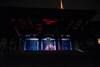 プロジェクションマッピングの様子。