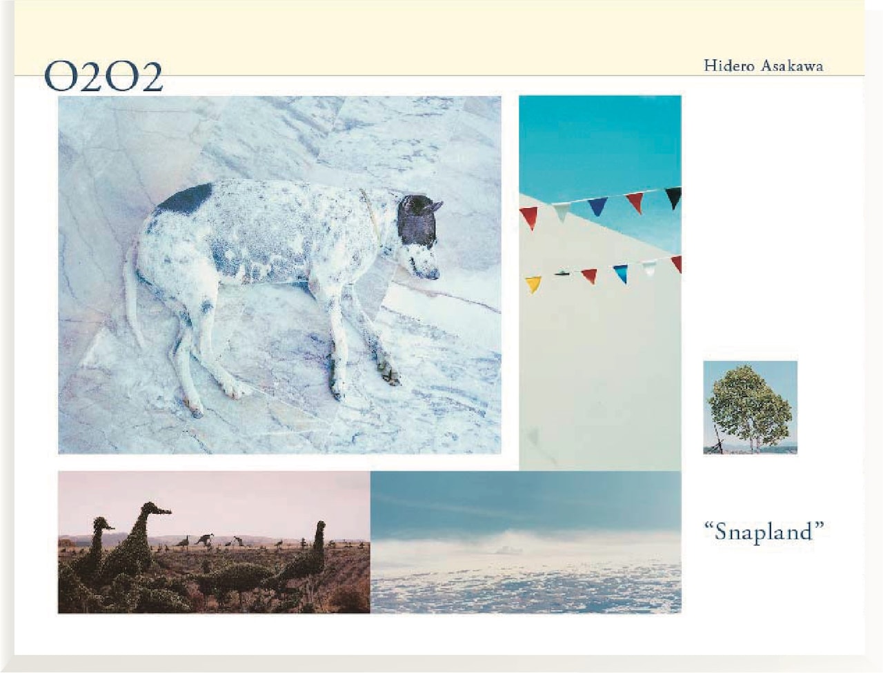 写真集「O2O2 Snapland」表紙（写真提供：浅川英郎）