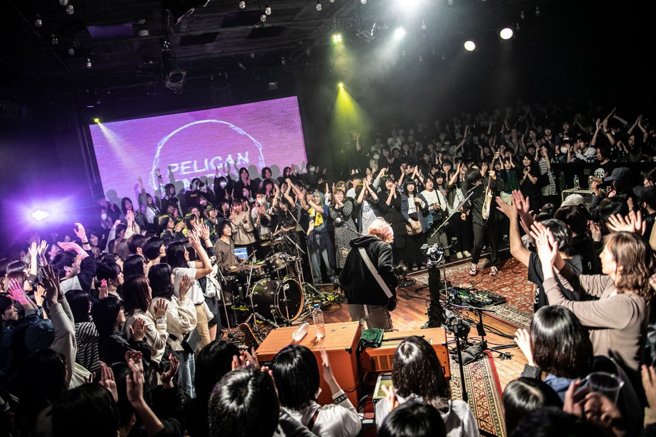 「PELICAN FANCLUB ゼロ距離ワンマンライブ“DREAM DAZE 2019”」東京・LIQUIDROOM公演の様子。