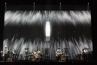 Corneliusのライブの様子。