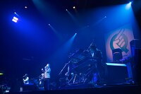 GODIEGOのライブの様子。