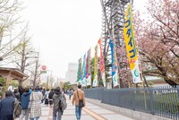 4月16日に実施された「Q」東京・両国国技館公演の様子。