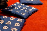 4月16日に実施された「Q」東京・両国国技館公演の様子。